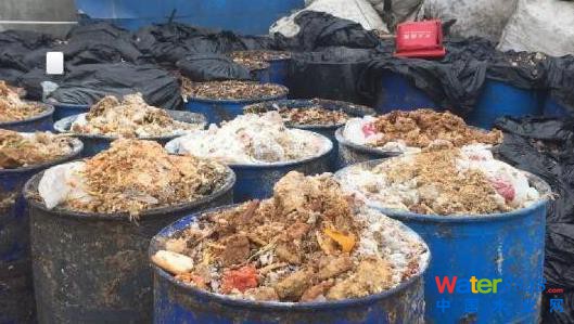 上海多地餐廚垃圾違規(guī)賣給養(yǎng)殖場(chǎng) 喂豬吃肯德基
