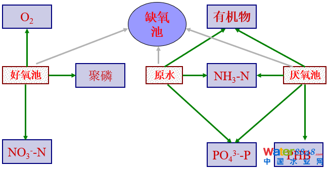 從幾個常見現(xiàn)象談污水處理廠設(shè)計和運行的精細化問題