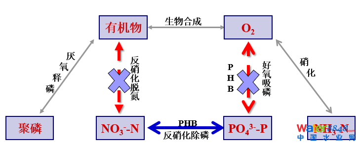 從幾個常見現(xiàn)象談污水處理廠設(shè)計和運行的精細化問題